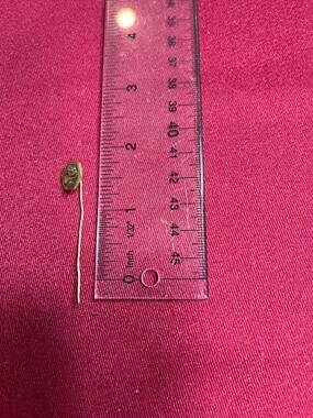 Antique Vintage Gold Tone Hexagonal Etched Plaque Stickpin Tie Hat Cravat Pin